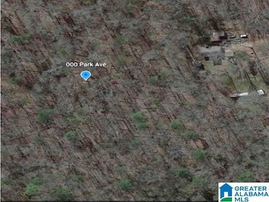 0000 Park Ave, Moody, AL 35004 - photo 2