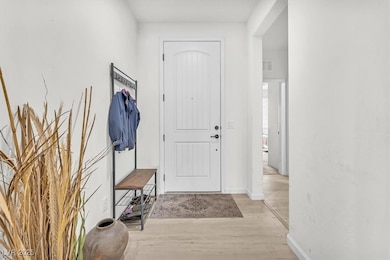 Entrance foyer with light wood finished floors and baseboards