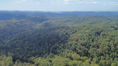 600 James Meece Rd, Somerset, KY 42501 - photo 6