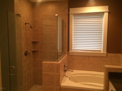 Shower/Tub Area