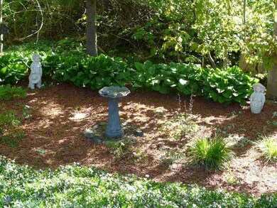 Yard/Garden.