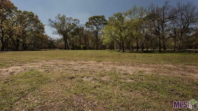 39423 Bon Terre Dr, Gonzales, LA 70737 - photo 2