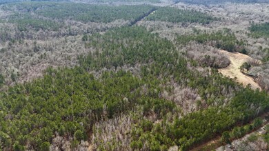 242 Dan George Rd, Mendenhall, MS 39114 - photo 6