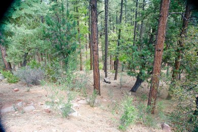 4557 N Serenity Cir unit 44, Pine, AZ 85544 - photo 2