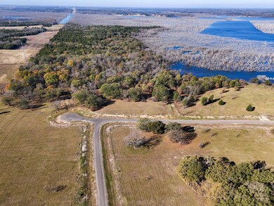 245 Shoreline Dr, Dodd City, TX 75438 - photo 5