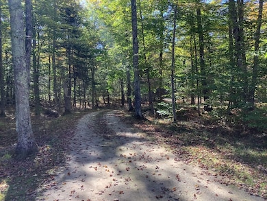 370 Nelson Ct, Washington Island, WI 54246 - photo 6