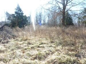 1633 Hawkins Rd, Harrison, AR 72601 - photo 5