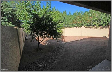 VIEW OF THE HUGE BACKYARD