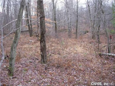 Land Lot view