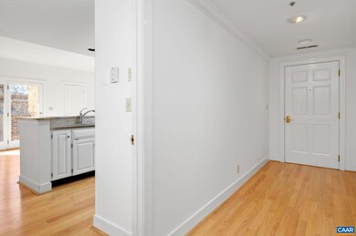 249 E Jefferson St unit 2526, Charlottesville, VA 22902 - photo 2