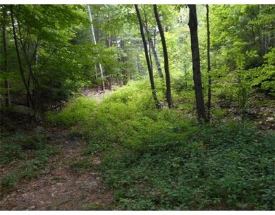 Parcel B Cutler Rd, Holden, MA 01520 - photo 2