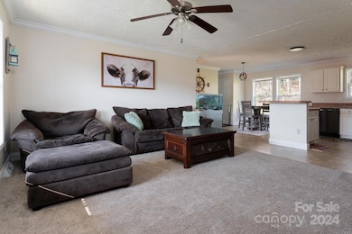 478 Cane River School Rd, Burnsville, NC 28714 - photo 7