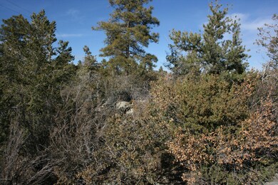 011_IMG_5442