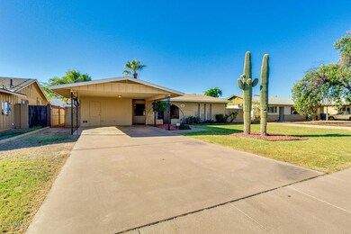 03-Sahuaro