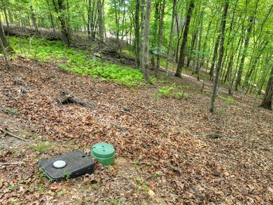 2.27ac River Crest Ln, Mineral Bluff, GA 30559 - photo 6