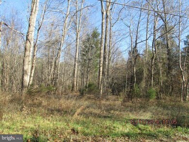 0 Mcduff Rd unit 1003284534, Caroline, VA 22546 - photo 3