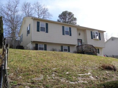 803 Chestnut St, Clifton Forge, VA 24422 - photo 3