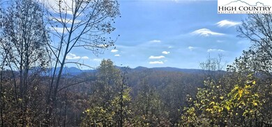 Did I mention the view of Grandfather in the distance?