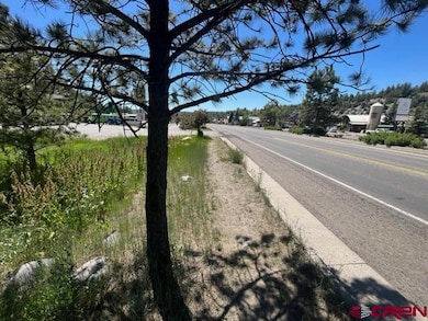 351 E Pagosa St, Pagosa Springs, CO 81147 - photo 3