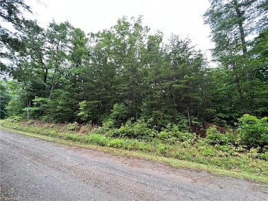 Lot 61 Deer Run, Purlear, NC 28665 - photo 4