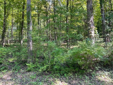 L 16.2 Cleverdale Rd, Glens Falls, NY 12804 - photo 3