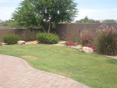 Backyard View