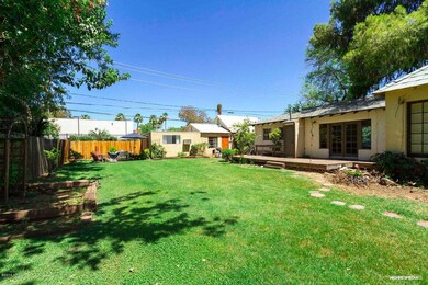 Backyard 3