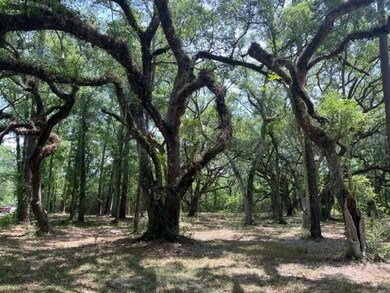 00000 Louisville St, Lacombe, LA 70445 - photo 6