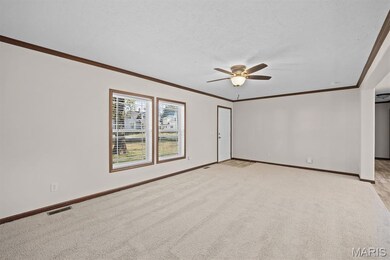 113 N Oak St, Hoffman, IL 62250 - photo 4