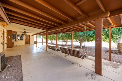 BACK PATIO 2