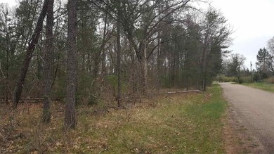 5.56 AC 37th St E, Clearfield, WI 53950 - photo 4