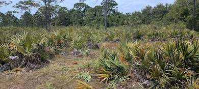 000 None, Grant Valkaria, FL 32950 - photo 2