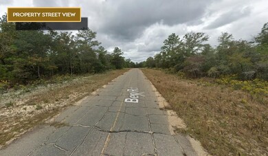 0 Canterbury Dr, Chipley, FL 32428 - photo 4