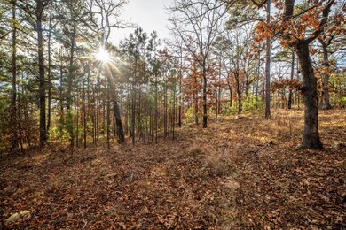 Lot 17 Phase 1, Tuskahoma, OK 74574 - photo 4