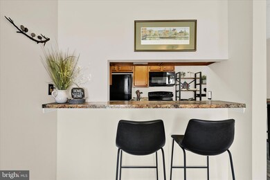 6455 Greenfield Rd unit 1109, Elkridge, MD 21075 - photo 7