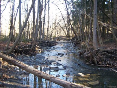 Creek runs through back 4 acres
