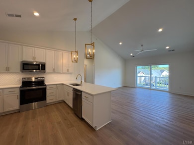 420 Capstone Dr unit 307, Lynchburg, VA 24502 - photo 6