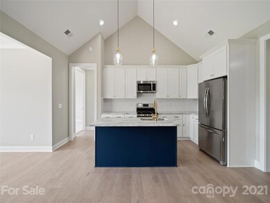 225 Lone Pine Rd unit 8, Statesville, NC 28625 - photo 6