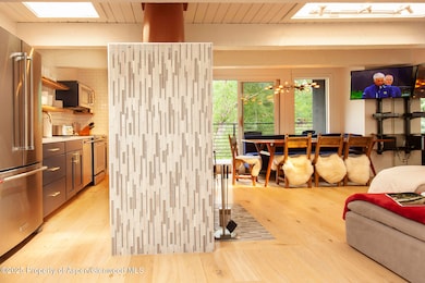 1039 E Cooper Ave unit 16A, Aspen, CO 81611 - photo 3