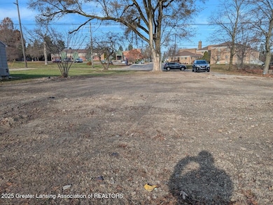 2817 W Willow St, Lansing, MI 48917 - photo 4