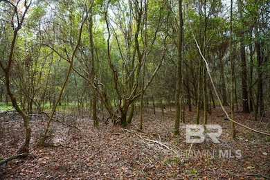 0 Smith Young Rd, Mobile, AL 36695 - photo 4