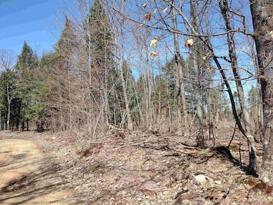 TBD Black Creek (West) Rd, Skanee, MI 49962 - photo 4