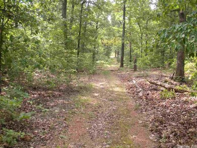 0000 Cave Creek Rd Rd, Hardy, AR 72542 - photo 6