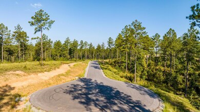 2048 Canyon Creek Pkwy, Benton, AR 72019 - photo 5