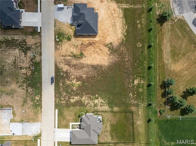 589 Legacy Dr, Waterloo, IL 62298 - photo 2