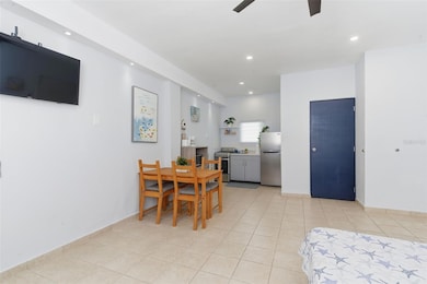 AA #35 Sector Villa Verde Bo Playa de Salinas, Salinas, PR 00751 - photo 5