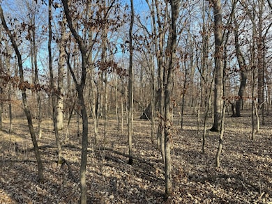 TBD 294th, Meadow Township, MN 56477 - photo 2