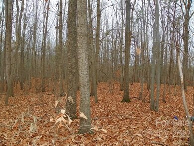 4221 Pinto Ln, Gastonia, NC 28052 - photo 3