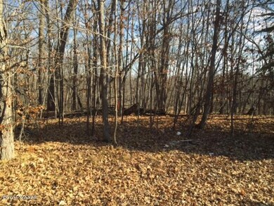 TBD Petes Point Ln SW, Moe Township, MN 56308 - photo 2