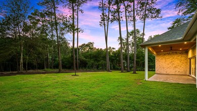 25019 Tarlton Ct, Tomball, TX 77375 - photo 5